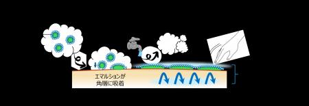 角層吸着型エマルションを搭載した新スキンケア洗顔料