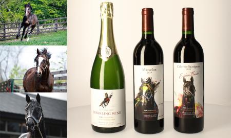 「ヴェルサイユリゾートファーム」の名馬をモチーフに