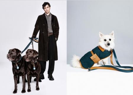 【ジョルジオ アルマーニ】ポルド ドッグ クチュール