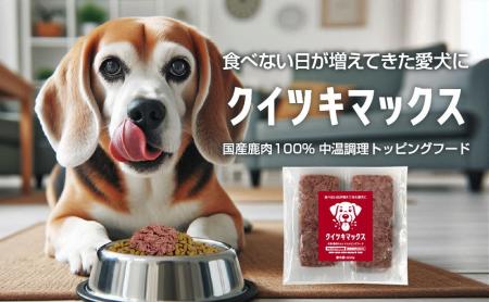 食べなくなった老犬にも、もう一度「食べる喜び」を