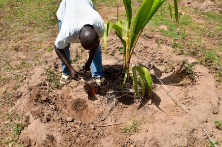 株式会社SynecOが、独立行政法人国際協力機構（JICA）