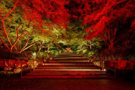 大阪府箕面市の勝尾寺　「宵まかせ」の灯りの演出...