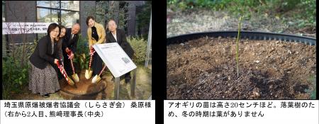 【コープみらい】被爆・戦後 80 年記念事業 「被爆ア