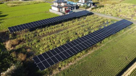 ソーラーシェアリングのスマートブルー、ヤンマーホー