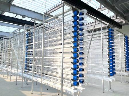 海洋性紅色光合成細菌の大量培養技術の確立に向けたベ