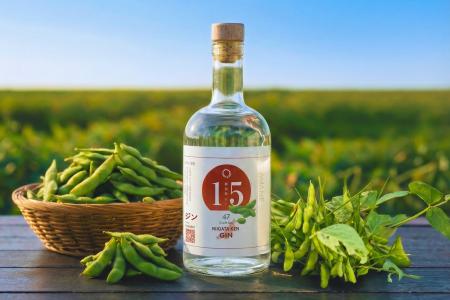 おいしすぎて“幻の枝豆”と呼ばれる新潟県 弥彦村産の