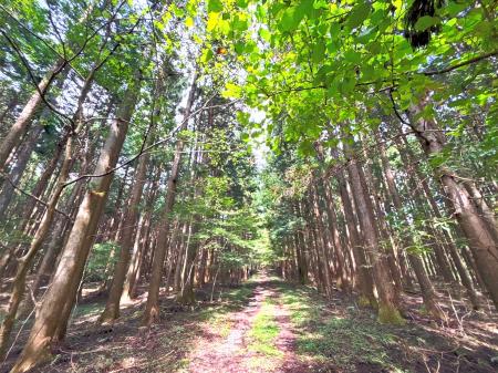 栃木県日光市にフォレンタの新エリア誕生。赤沢の清流 栃木県日光市にフォレンタの新エリア誕生。赤沢の清流