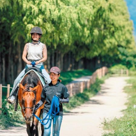 午年だけに！「馬（ウマ）」「上手い（ウマい）」「美