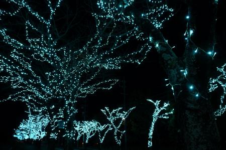 「ウインターイルミネーションこもの」点灯式を開催