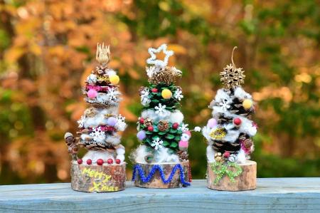 体験で彩る冬時間「クリスマスイベント」開催｜国営ア