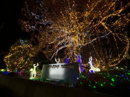 【京都外国語大学】電動車両(EV・PHEV)の電力でキャン 【京都外国語大学】電動車両(EV・PHEV)の電力でキャン