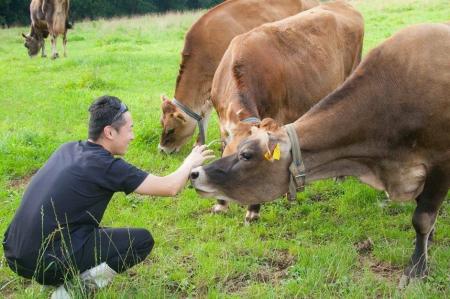 放牧ジャージーミルク100%の「ホワイトソース」再販― 放牧ジャージーミルク100%の「ホワイトソース」再販―