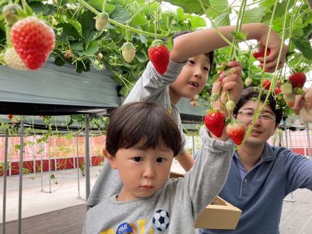 子供たちの味覚が鈍くなった?宮城県山元町で“味覚の 子供たちの味覚が鈍くなった?宮城県山元町で“味覚の
