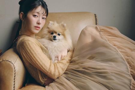 愛犬たちとのモードなカットで迎える新年度！浜辺美波