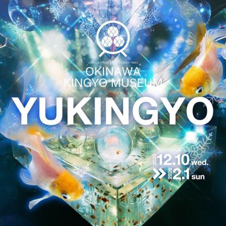 南国沖縄、白い金魚が織りなす雪景色「YUKINGYO」企画 南国沖縄、白い金魚が織りなす雪景色「YUKINGYO」企画