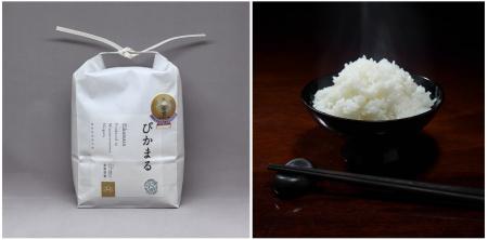 南魚沼産“ユーグレナ育ち”の『ぴかまる』、世界最大級 南魚沼産“ユーグレナ育ち”の『ぴかまる』、世界最大級