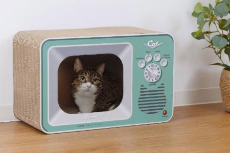【島忠】SNS映えする猫の爪とぎ新登場！ベッド型＆TV