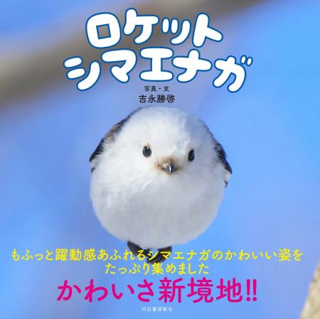 もふもふ（・⊝・）しゅっぱつ！　北海道の冬空を自由