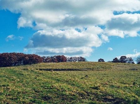 農業事業に新規参入 「日鉄興和不動産農業株式会社」 農業事業に新規参入 「日鉄興和不動産農業株式会社」