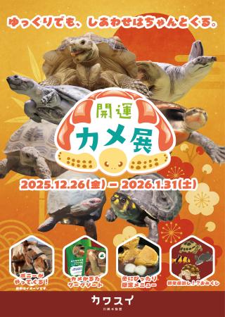 【カワスイ 川崎水族館】縁起の良いカメ&干支のポニ 【カワスイ 川崎水族館】縁起の良いカメ&干支のポニ