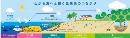 海洋における事業を通じたネイチャーポジティブへの貢 海洋における事業を通じたネイチャーポジティブへの貢