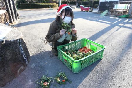群馬サファリパーク、動物たちと過ごす特別なクリスマ 群馬サファリパーク、動物たちと過ごす特別なクリスマ