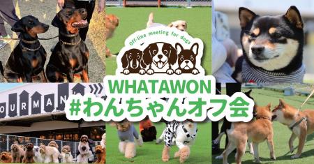 累計参加犬種30種以上、犬種別で楽しむ「わんちゃんオ