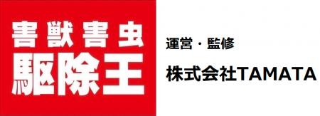 【飲食店向け】ゴキブリ対策プランを拡充、定期施工の