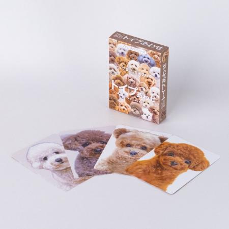 人気カードゲーム『わんにゃんあわせ』シリーズ第三弾