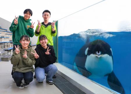 【鴨川シーワールド】すぐそこにシャチ!?関東唯一の 【鴨川シーワールド】すぐそこにシャチ!?関東唯一の