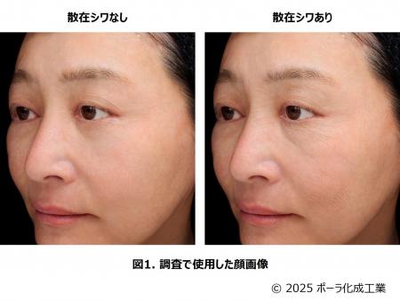 シワができると認識されていない部位のシワに着目「散