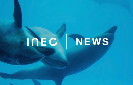 名古屋港水族館 北館ほか2施設における LED照明一式の