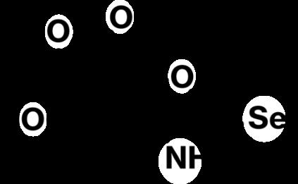 生体必須微量元素セレンを安全に貯蔵・輸送する新たな