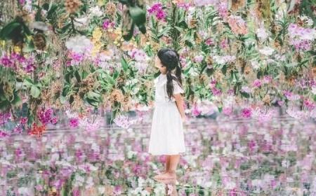 『ファミリーの思い出応援プロジェクト』！東京・豊洲