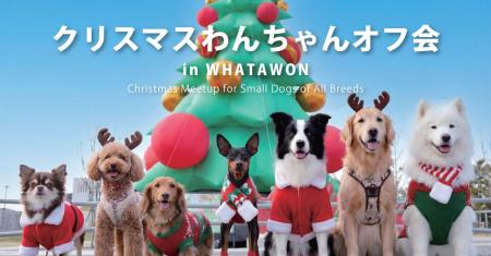 開催迫る！愛犬と行けるクリスマス！小型犬・大型犬別