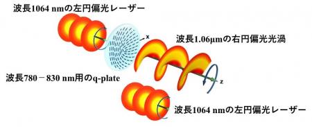 光の準粒子を市販の光学素子1枚で発生させることに成 光の準粒子を市販の光学素子1枚で発生させることに成