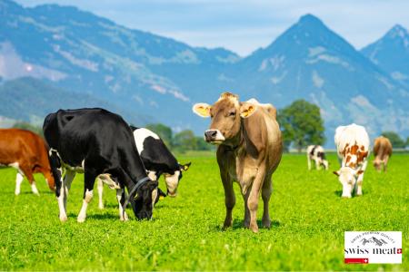 swiss meat、日本市場に向けた2026年の戦略計画を発表 swiss meat、日本市場に向けた2026年の戦略計画を発表