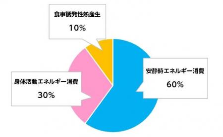 活動量が減る冬こそ、動かない「おうち時間」のエネル 活動量が減る冬こそ、動かない「おうち時間」のエネル