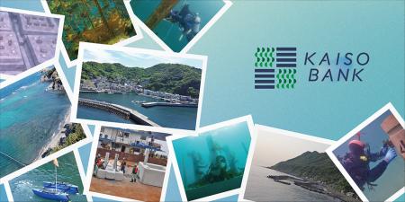 【KAISO BANK】当初の技術開発目標(基礎技術の確立) 【KAISO BANK】当初の技術開発目標(基礎技術の確立)