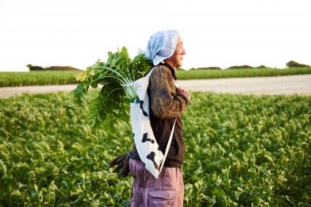 抜群の安定感！「三浦大根BAG」で伝統野菜・三浦大根