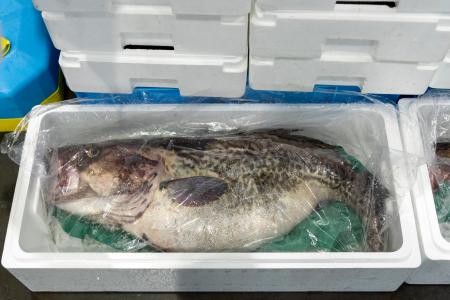 休暇村陸中宮古では1～3月限定で「真鱈フェア」実施　