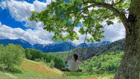 「住みたい田舎」ランキング 全国1位！長野県宮田村、