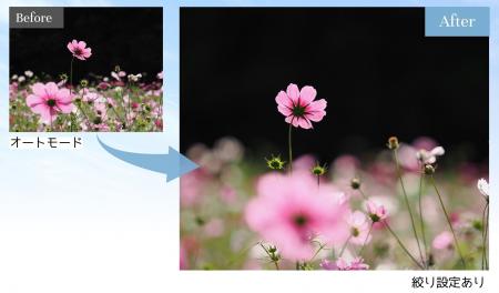 【NHKカルチャー】脱!オートモード!カメラ初心者に 【NHKカルチャー】脱!オートモード!カメラ初心者に