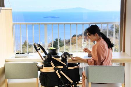 【開業１周年記念】愛犬との安心ウェルネスな旅を叶え