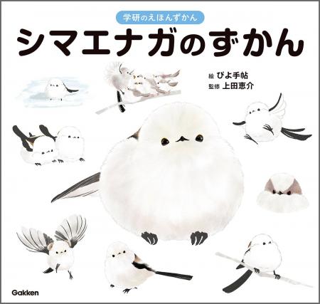 【シマエナガ好きに朗報！】1冊まるごとシマエナガ！