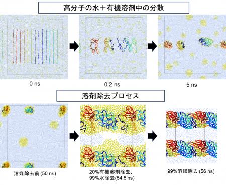 環境負荷の低い塗料開発を目指して ― 水性塗料の塗膜 環境負荷の低い塗料開発を目指して ― 水性塗料の塗膜