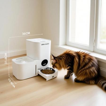 スマートペットケアの新時代を切り拓く:Mew-tivation スマートペットケアの新時代を切り拓く:Mew-tivation