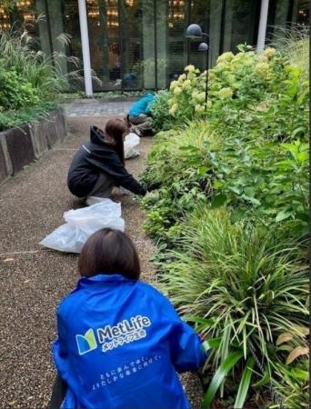 メットライフ生命、「エコチャレンジ」で環境への意識 メットライフ生命、「エコチャレンジ」で環境への意識