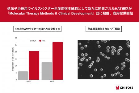 遺伝子治療用ウイルスベクター生産用宿主細胞として新 遺伝子治療用ウイルスベクター生産用宿主細胞として新