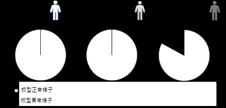【横浜市立大学】無精子症患者精子の新たな核型utf-8 【横浜市立大学】無精子症患者精子の新たな核型utf-8